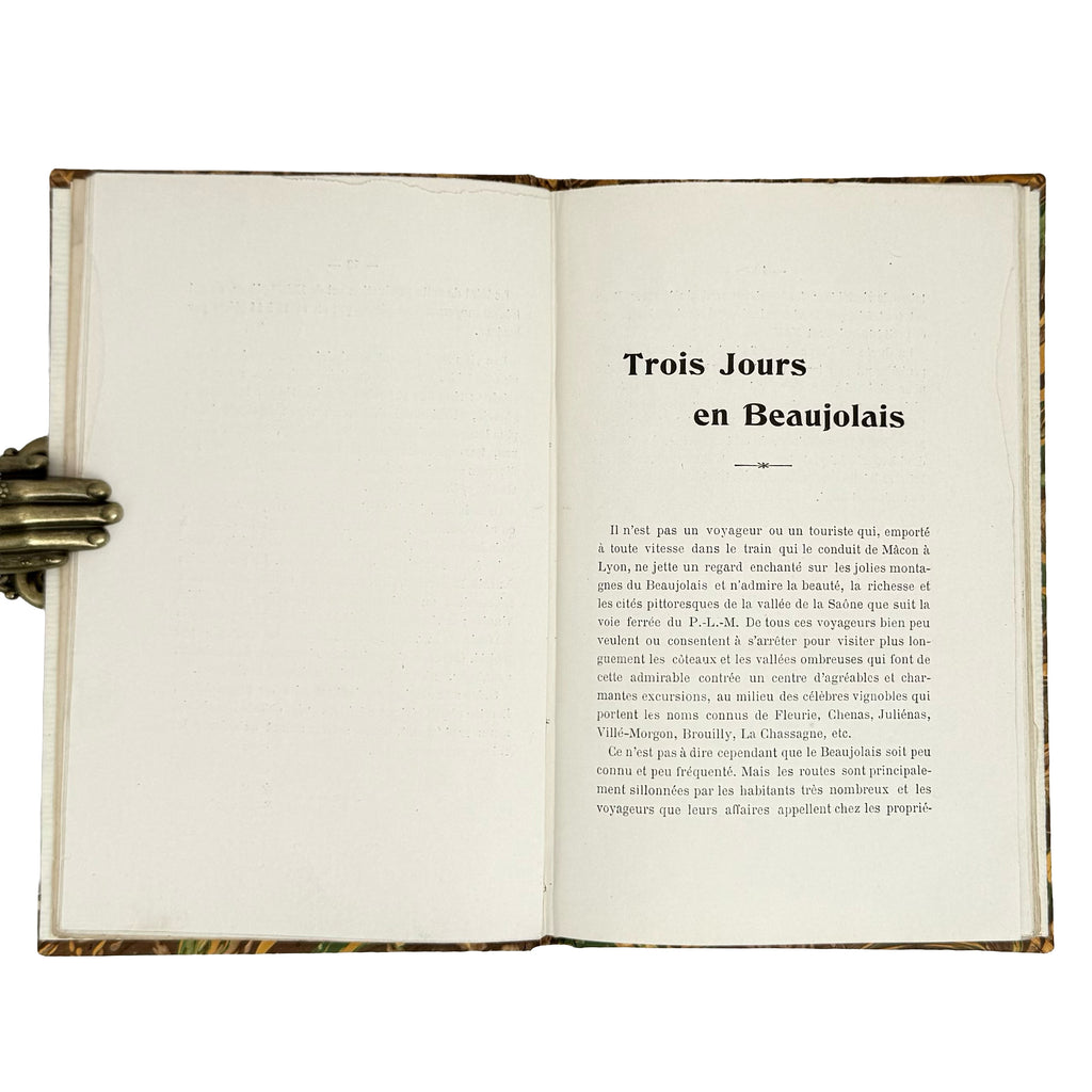 Trois jours en Beaujolais by (Vermorel, Victor): a scarce visual specimen of the 1901 wine & viticulture edition