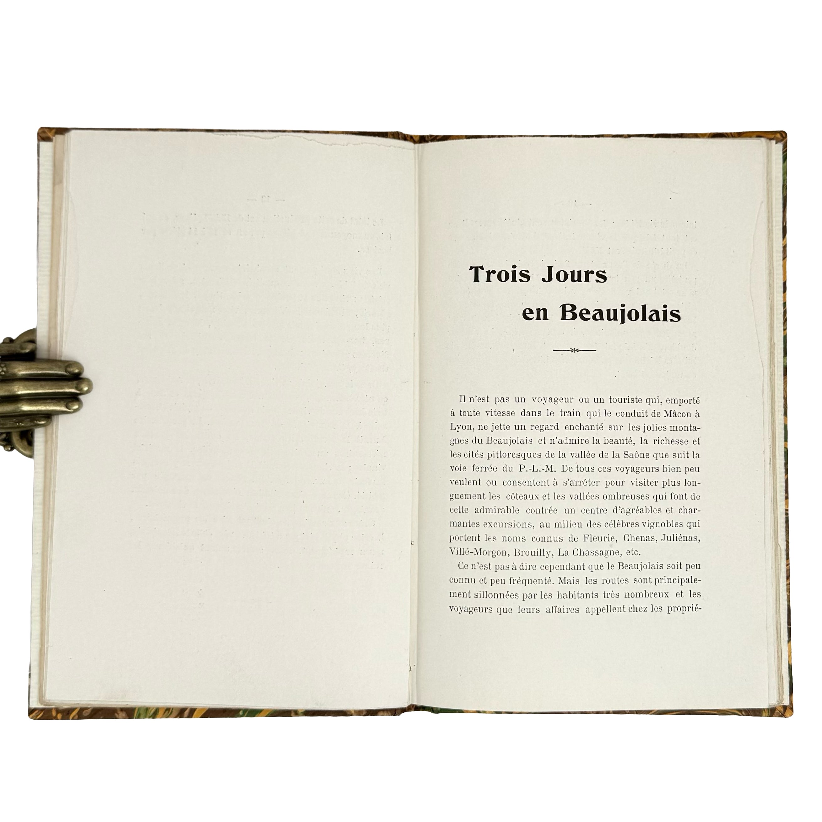 Trois jours en Beaujolais by (Vermorel, Victor): a scarce visual specimen of the 1901 wine & viticulture edition
