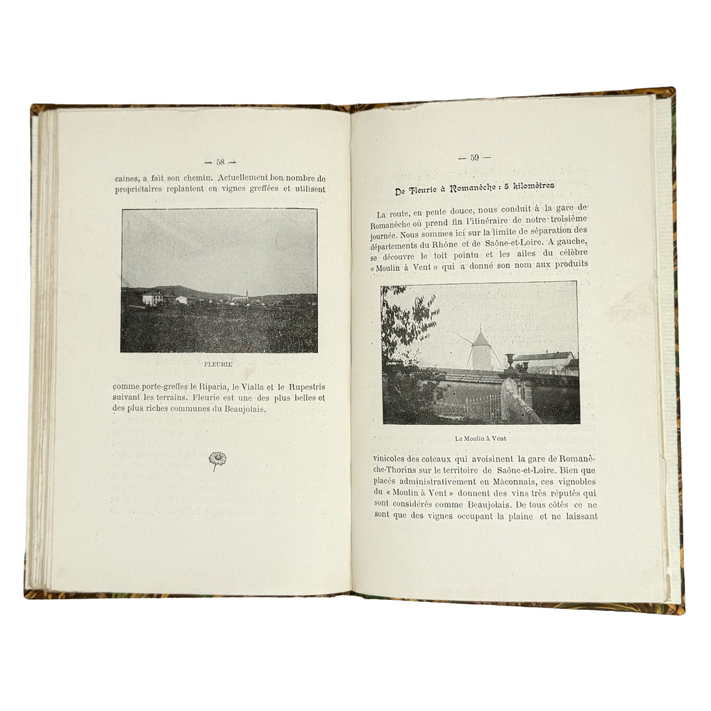 Trois jours en Beaujolais by (Vermorel, Victor): an exceptional example from the 1901 wine & viticulture text