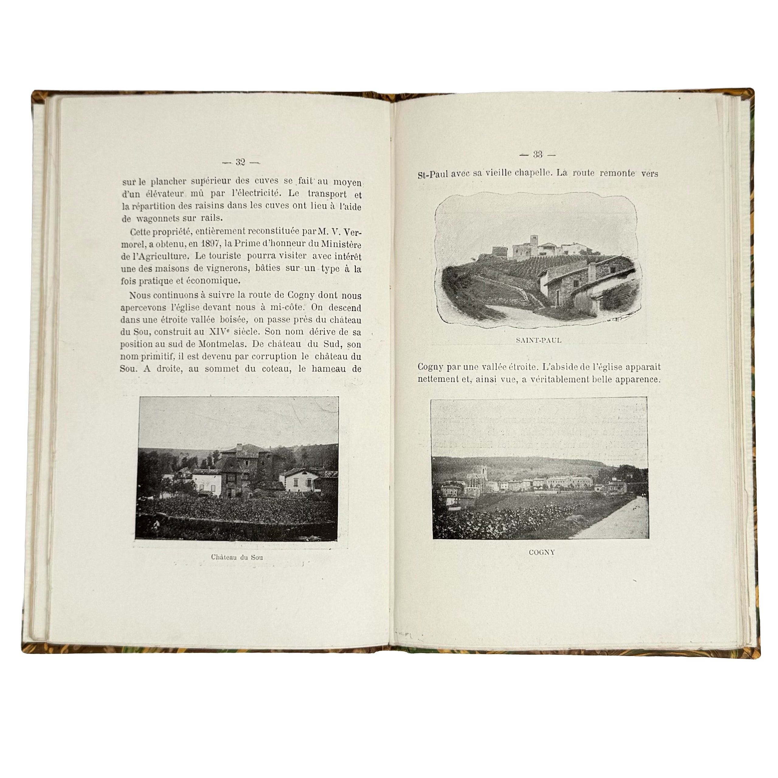 Trois jours en Beaujolais by (Vermorel, Victor): a finely chosen detail from the 1901 wine & viticulture treatise
