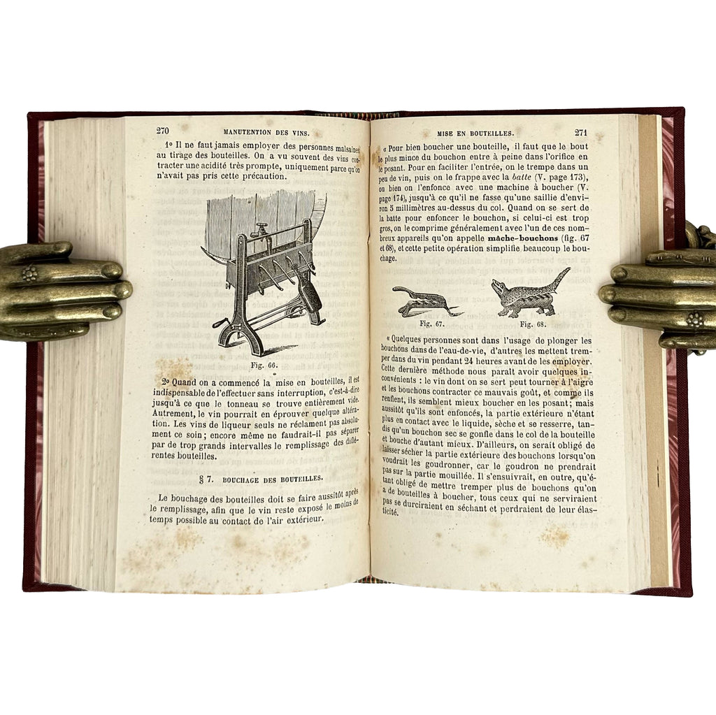 Encyclopedie-Roret - Nouveau manuel complet du Sommelier et du Marchand de vins by Maigne, P.: a rare visual excerpt of the 1884 wine & viticulture piece