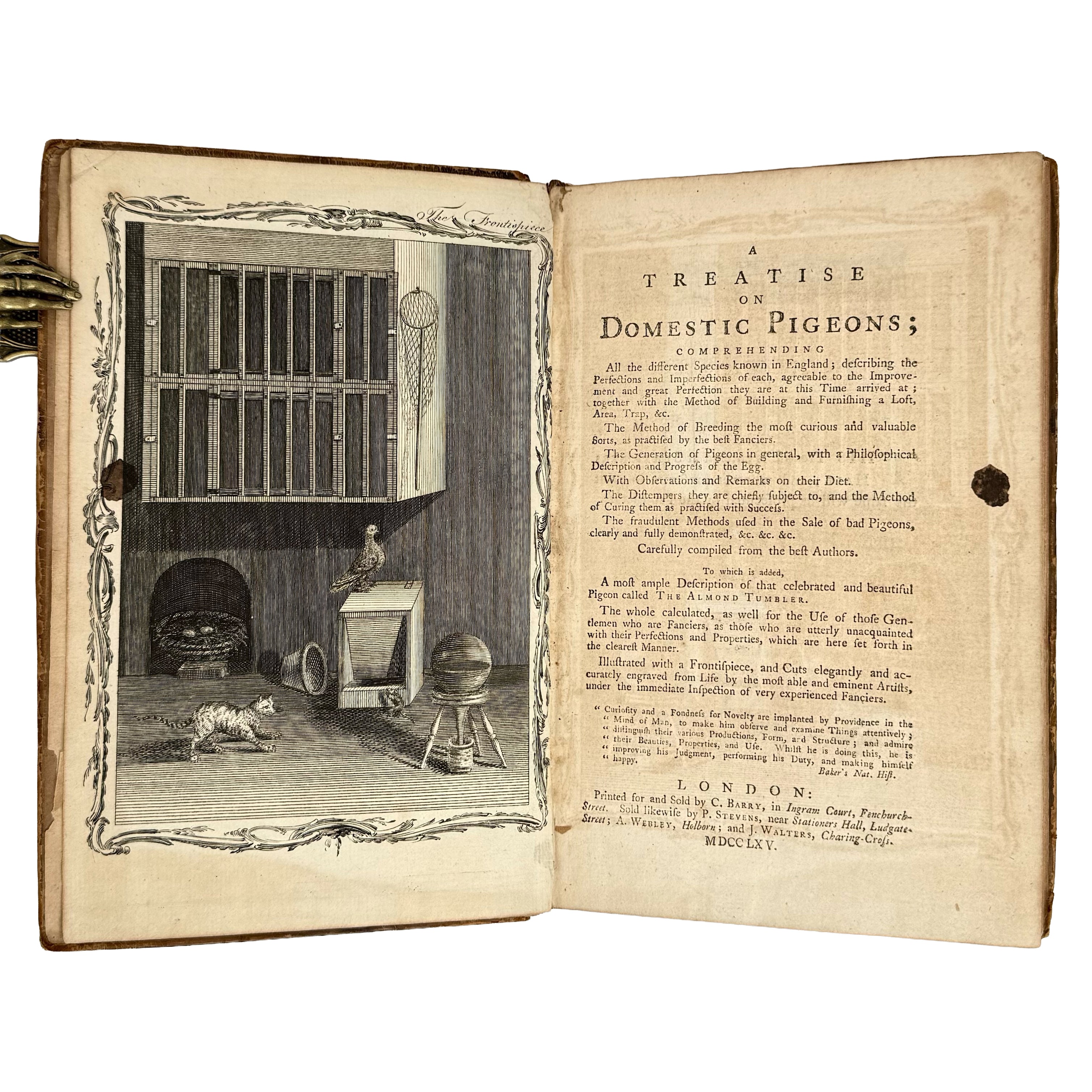 A Treatise on Domestic Pigeons by (Moore, J.): a distinguished excerpt from the 1765 illustrated & decorative printed work