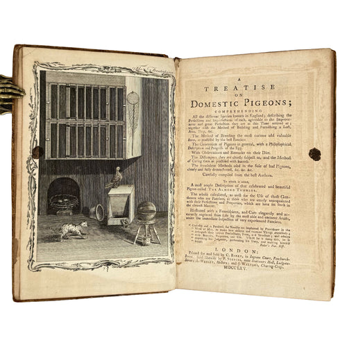 A Treatise on Domestic Pigeons by (Moore, J.): a distinguished excerpt from the 1765 illustrated & decorative printed work