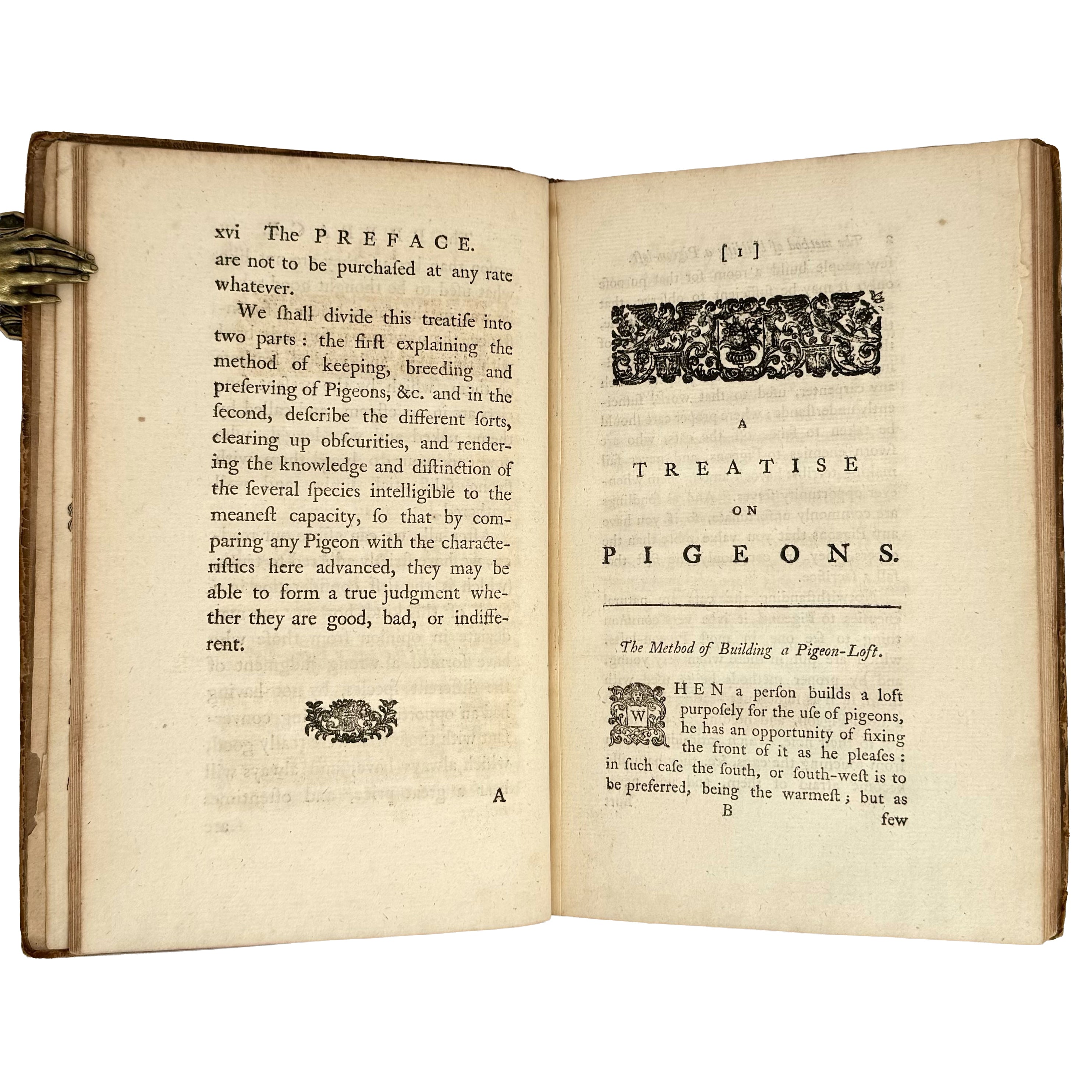 A Treatise on Domestic Pigeons by (Moore, J.): a delicate visual nuance of the 1765 illustrated & decorative text
