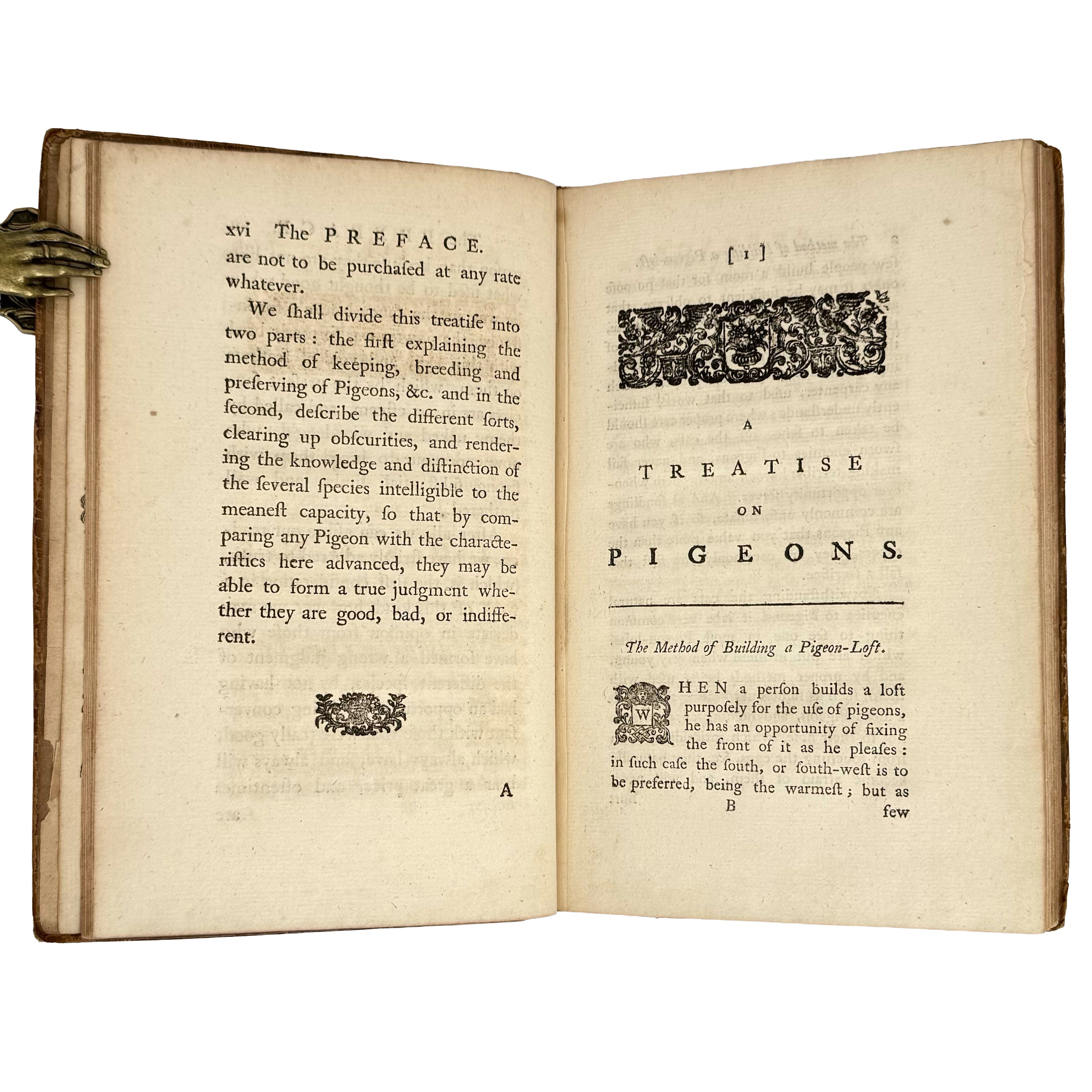 A Treatise on Domestic Pigeons by (Moore, J.): a remarkable illustrative passage from the 1765 illustrated & decorative copy