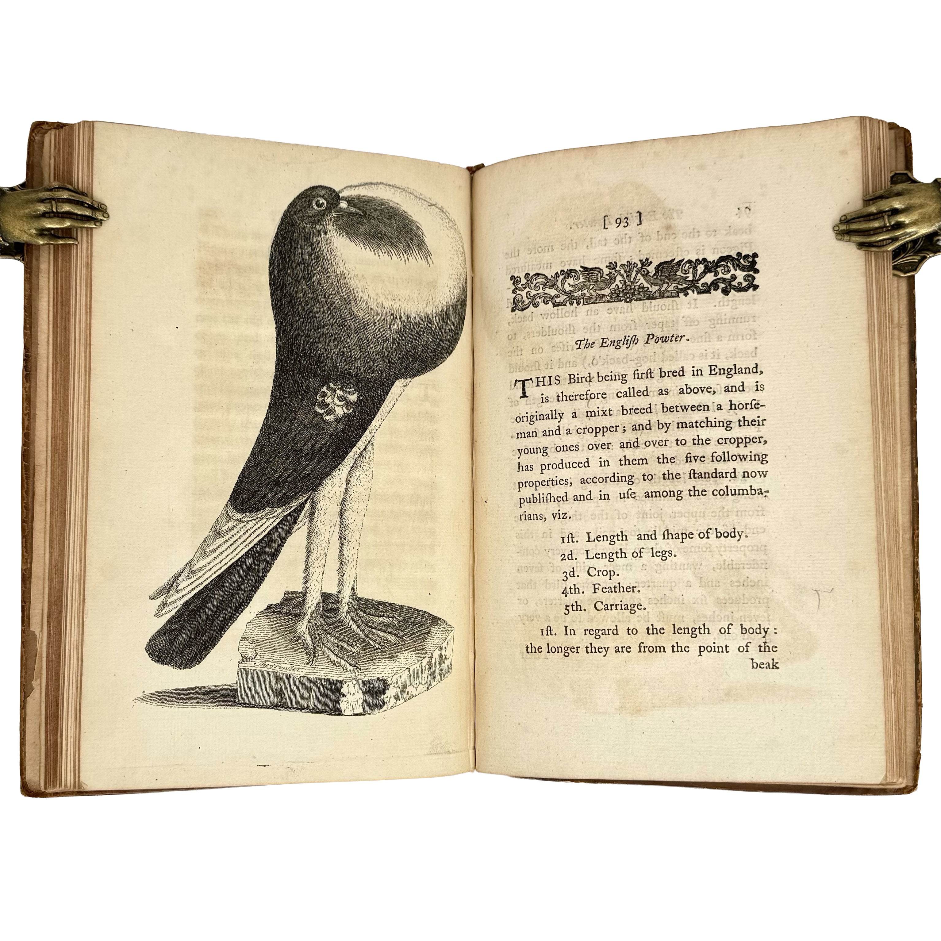 A Treatise on Domestic Pigeons by (Moore, J.): a precious visual instance of the 1765 illustrated & decorative text