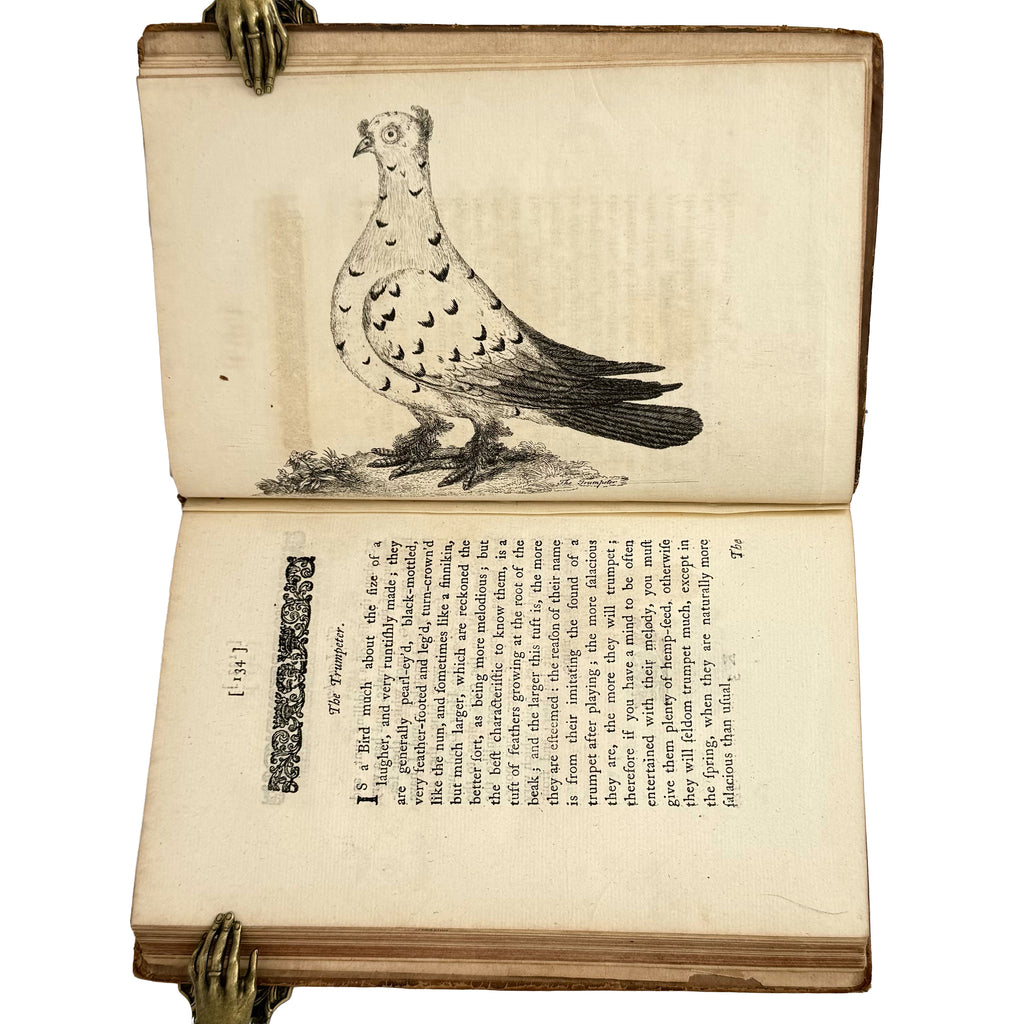 A Treatise on Domestic Pigeons by (Moore, J.): an uncommon representative view of the 1765 illustrated & decorative treatise