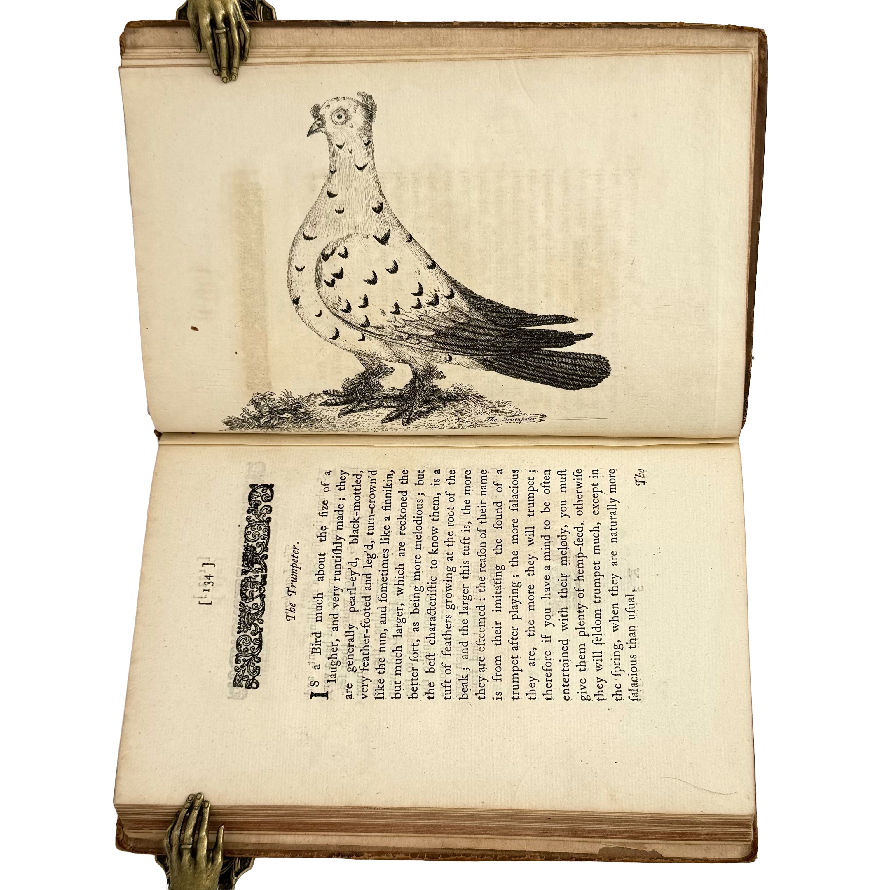 A Treatise on Domestic Pigeons by (Moore, J.): an uncommon representative view of the 1765 illustrated & decorative treatise