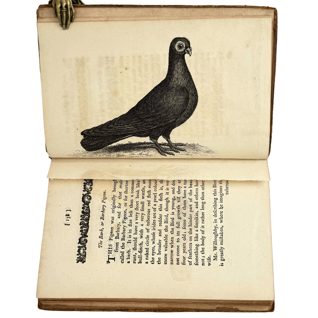 A Treatise on Domestic Pigeons by (Moore, J.): a rare surviving image of the 1765 illustrated & decorative printed work