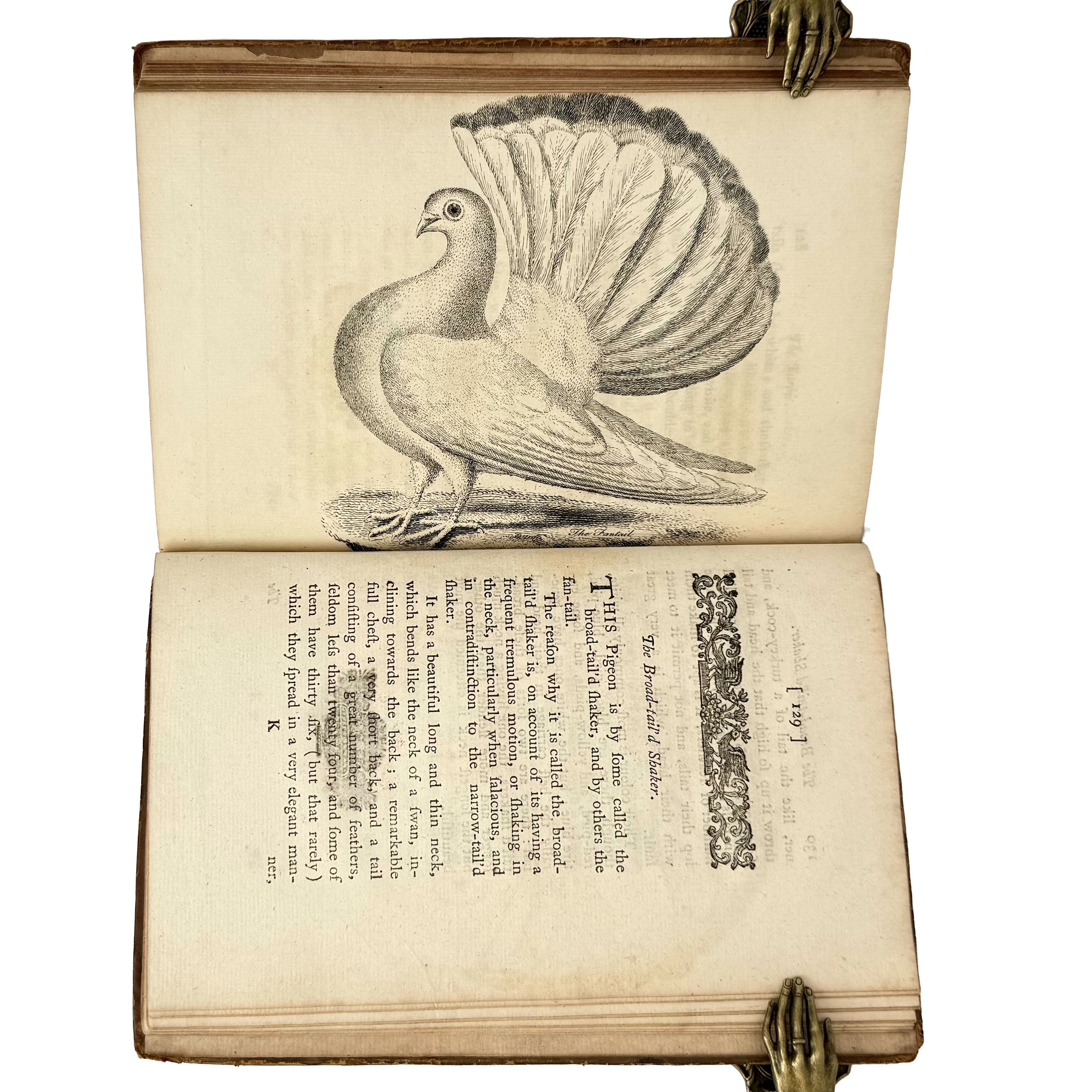 A Treatise on Domestic Pigeons by (Moore, J.): a rare glimpse into the 1765 illustrated & decorative printed work