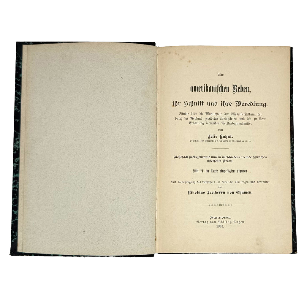 Die amerikanischen Reben by Sahut, Felix: a singularly preserved detail from the 1891 wine & viticulture volume