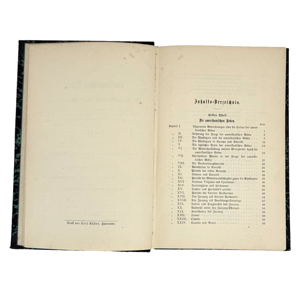 Die amerikanischen Reben by Sahut, Felix: a carefully chosen vignette of the 1891 wine & viticulture edition