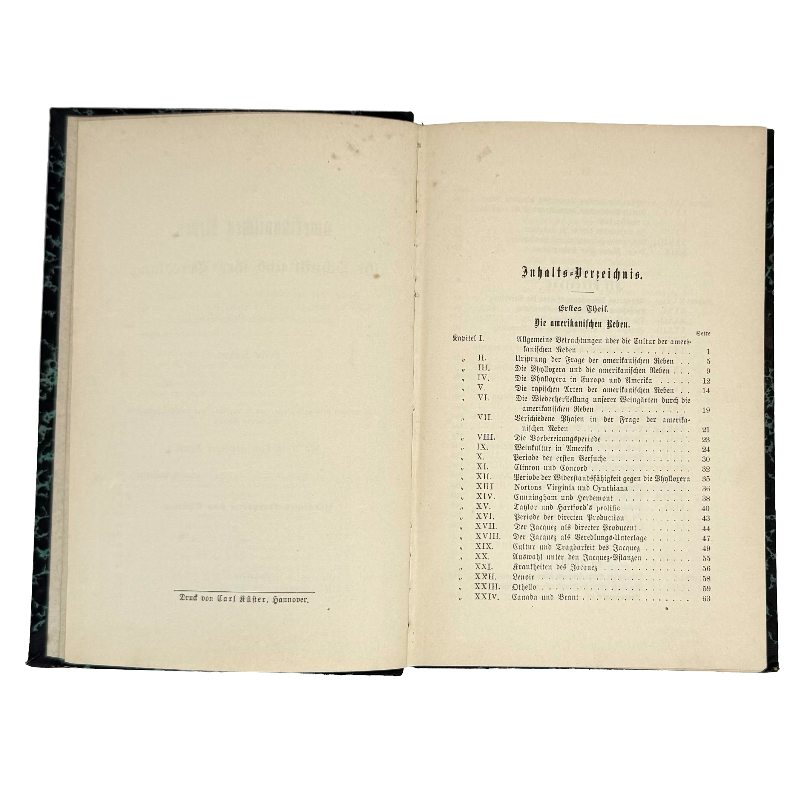 Die amerikanischen Reben by Sahut, Felix: a carefully chosen vignette of the 1891 wine & viticulture edition
