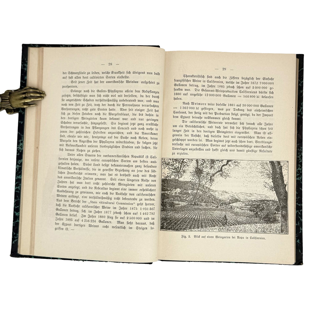 Die amerikanischen Reben by Sahut, Felix: a singularly preserved detail from the 1891 wine & viticulture exemplar