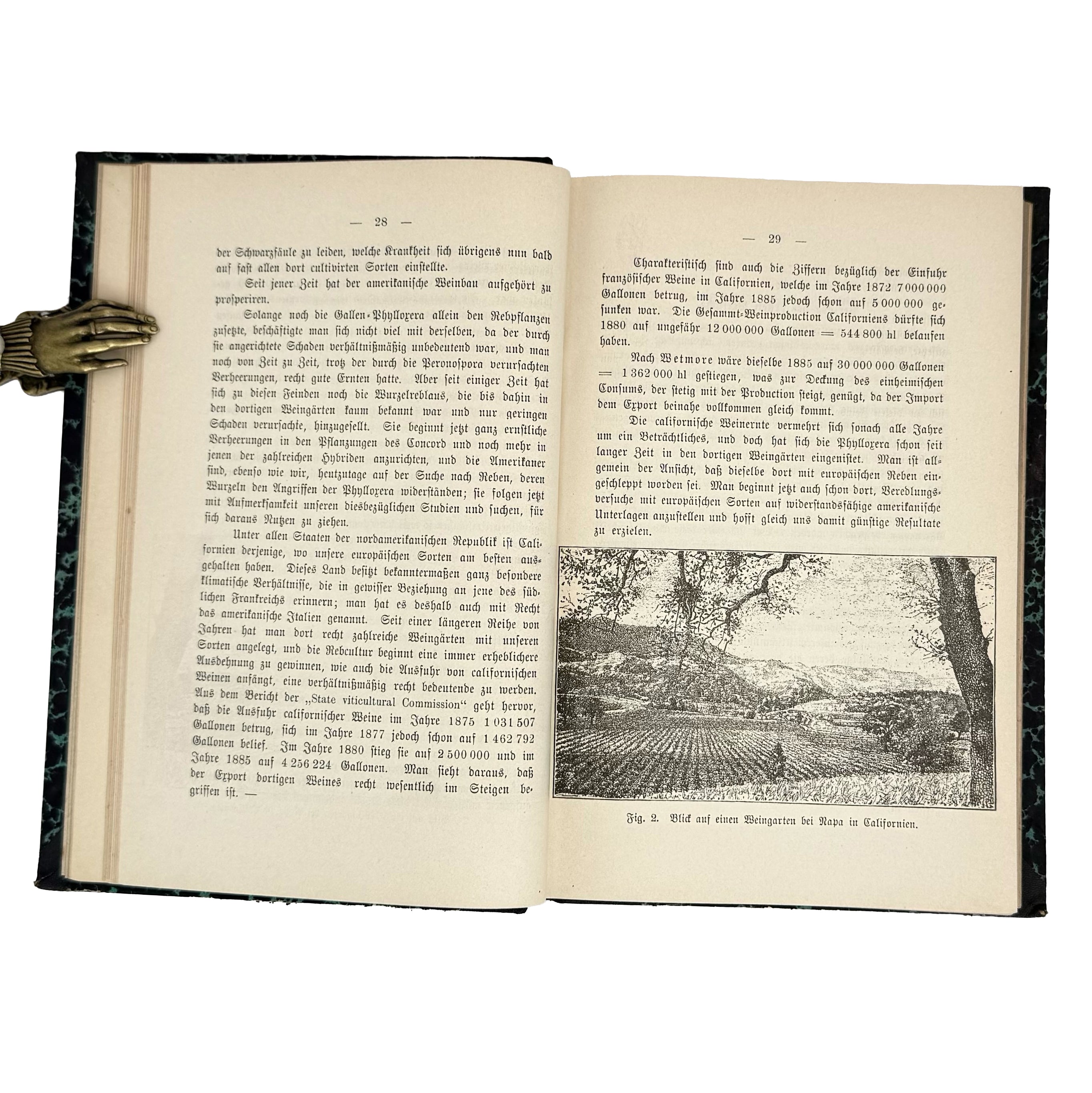 Die amerikanischen Reben by Sahut, Felix: a singularly preserved detail from the 1891 wine & viticulture exemplar
