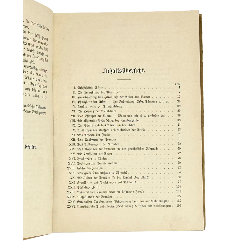 Die Weinrebe und ihre Kultur unter Glas by Barron, Archibald F.: a noteworthy detail captured from the 1895 wine & viticulture publication