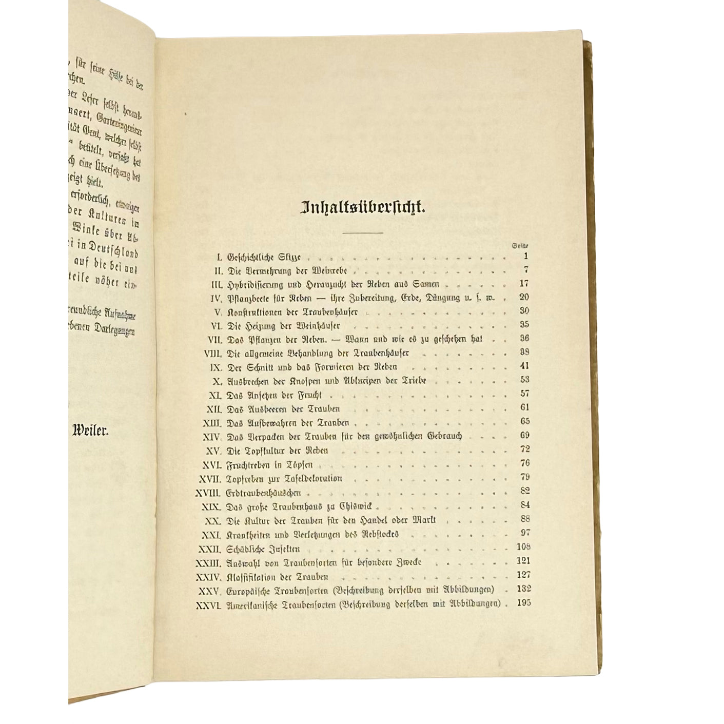 Die Weinrebe und ihre Kultur unter Glas by Barron, Archibald F.: a noteworthy detail captured from the 1895 wine & viticulture publication
