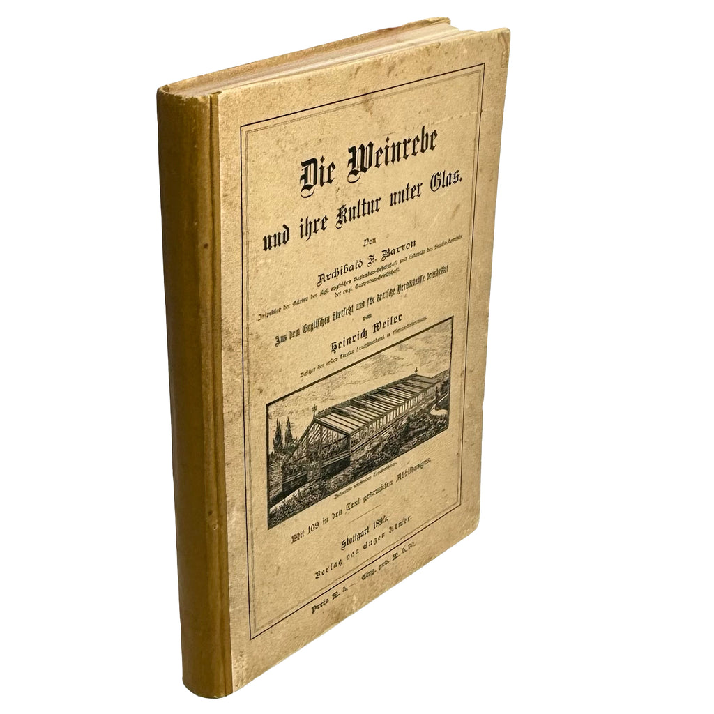 Die Weinrebe und ihre Kultur unter Glas by Barron, Archibald F.: a precious visual instance of the 1895 wine & viticulture piece