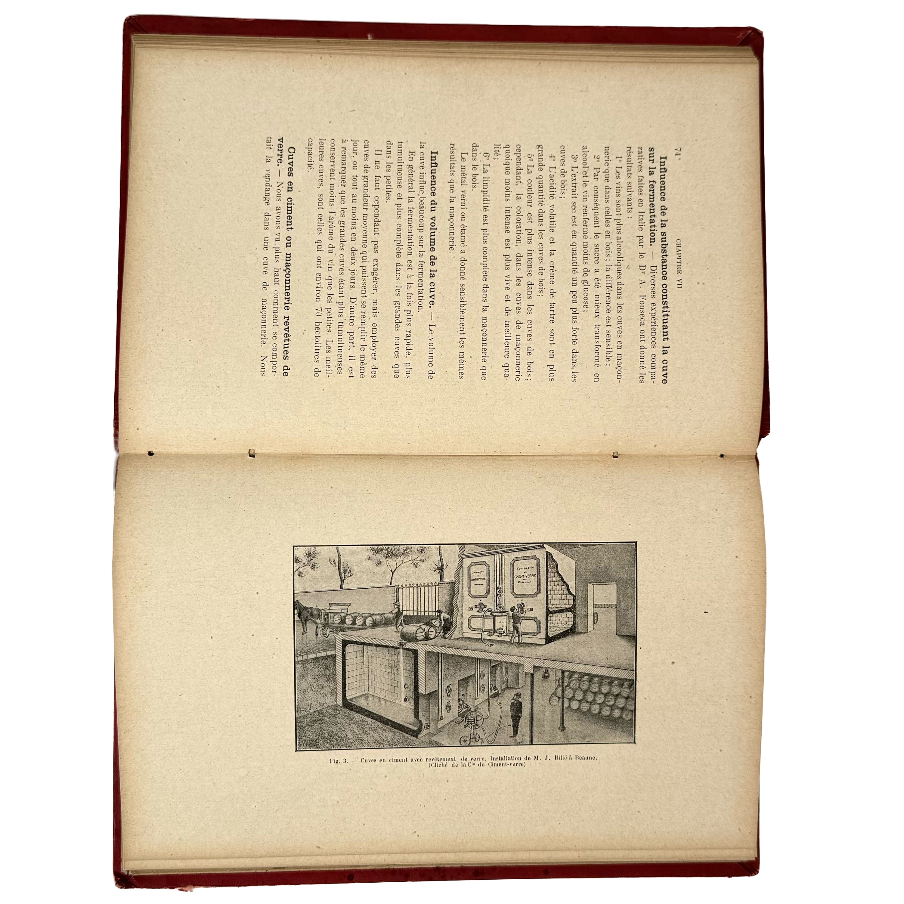 Le Petit Vigneron by Dubet, J.: a remarkable illustrative passage from the 1910 wine & viticulture printed work