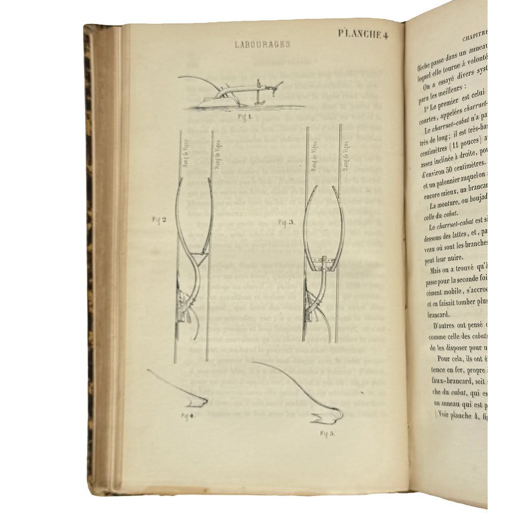 La culture des vignes, la vinification et les vins dans le Médoc by Armailhacq, Albert D': a carefully chosen vignette of the 1855 wine & viticulture piece