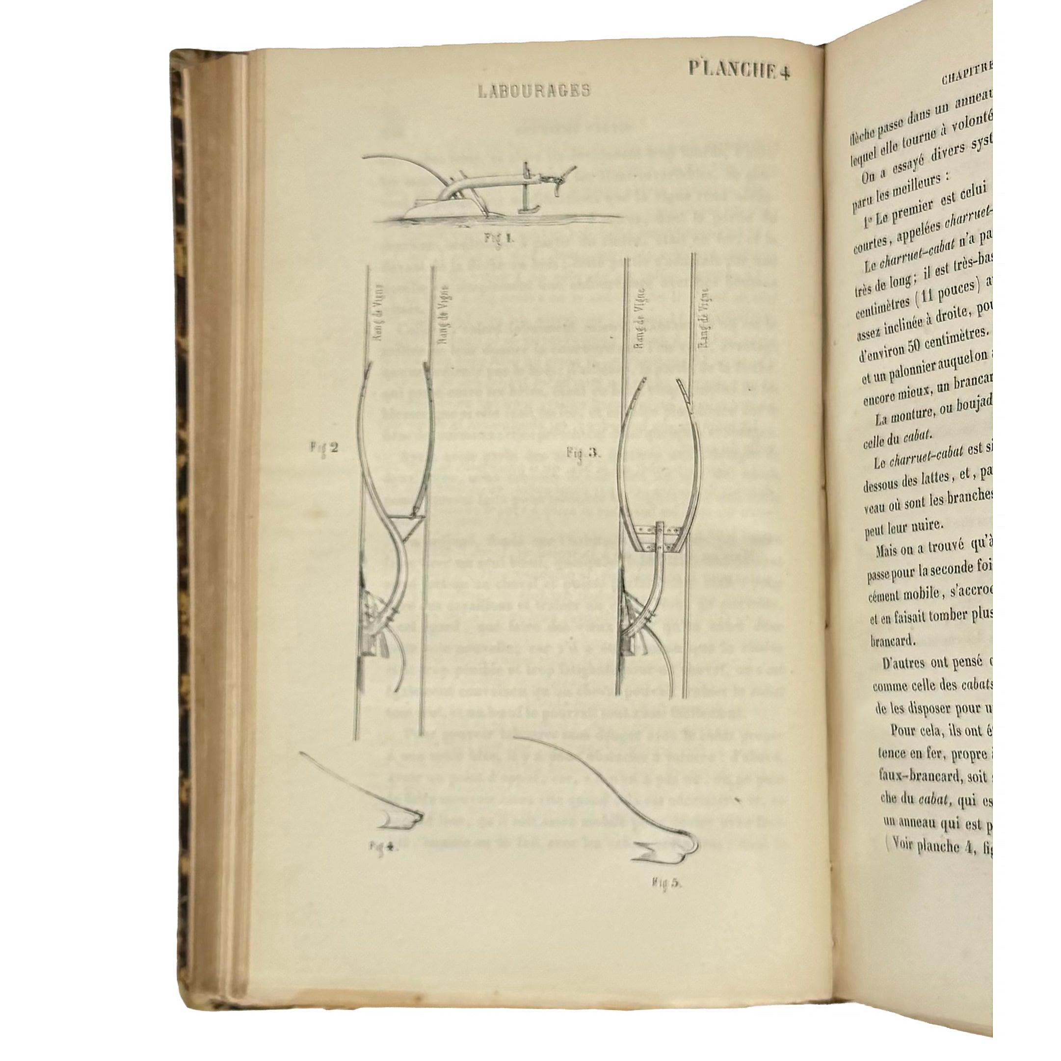 La culture des vignes, la vinification et les vins dans le Médoc by Armailhacq, Albert D': a carefully chosen vignette of the 1855 wine & viticulture piece