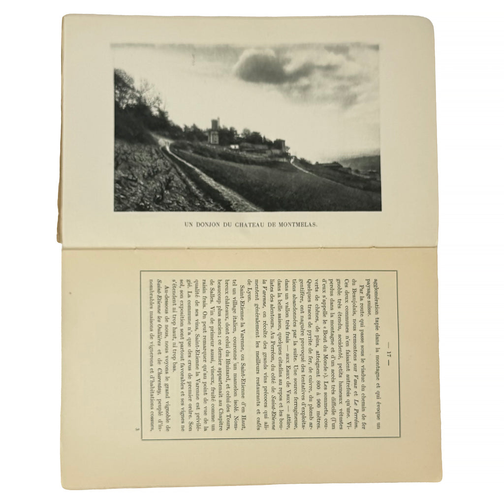 Le Pays et le Vin Beaujolais by Foillard, Léon; David, Tony: an exquisite selection from the 1929 wine & viticulture exemplar