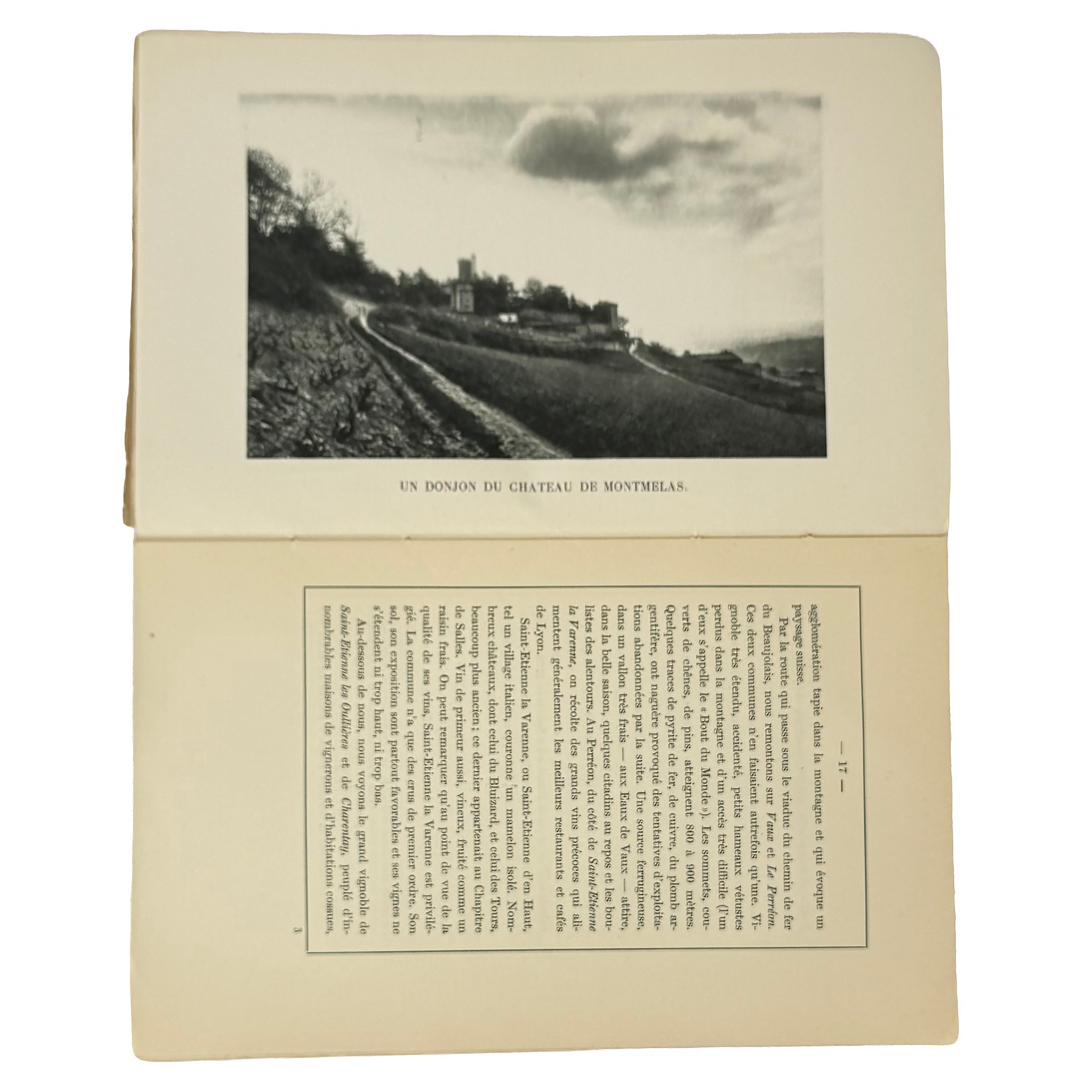 Le Pays et le Vin Beaujolais by Foillard, Léon; David, Tony: an exquisite selection from the 1929 wine & viticulture exemplar