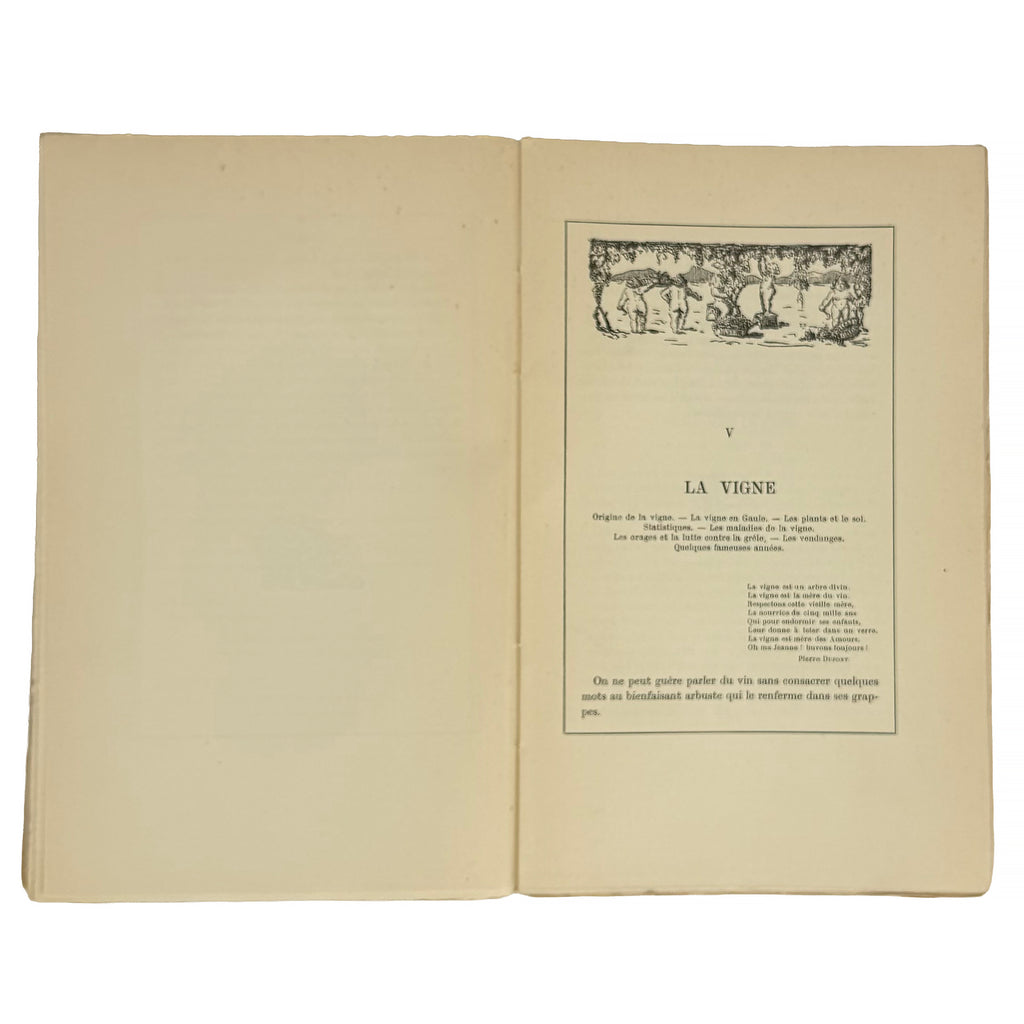 Le Pays et le Vin Beaujolais by Foillard, Léon; David, Tony: a scarce illustrative detail of the 1929 wine & viticulture copy