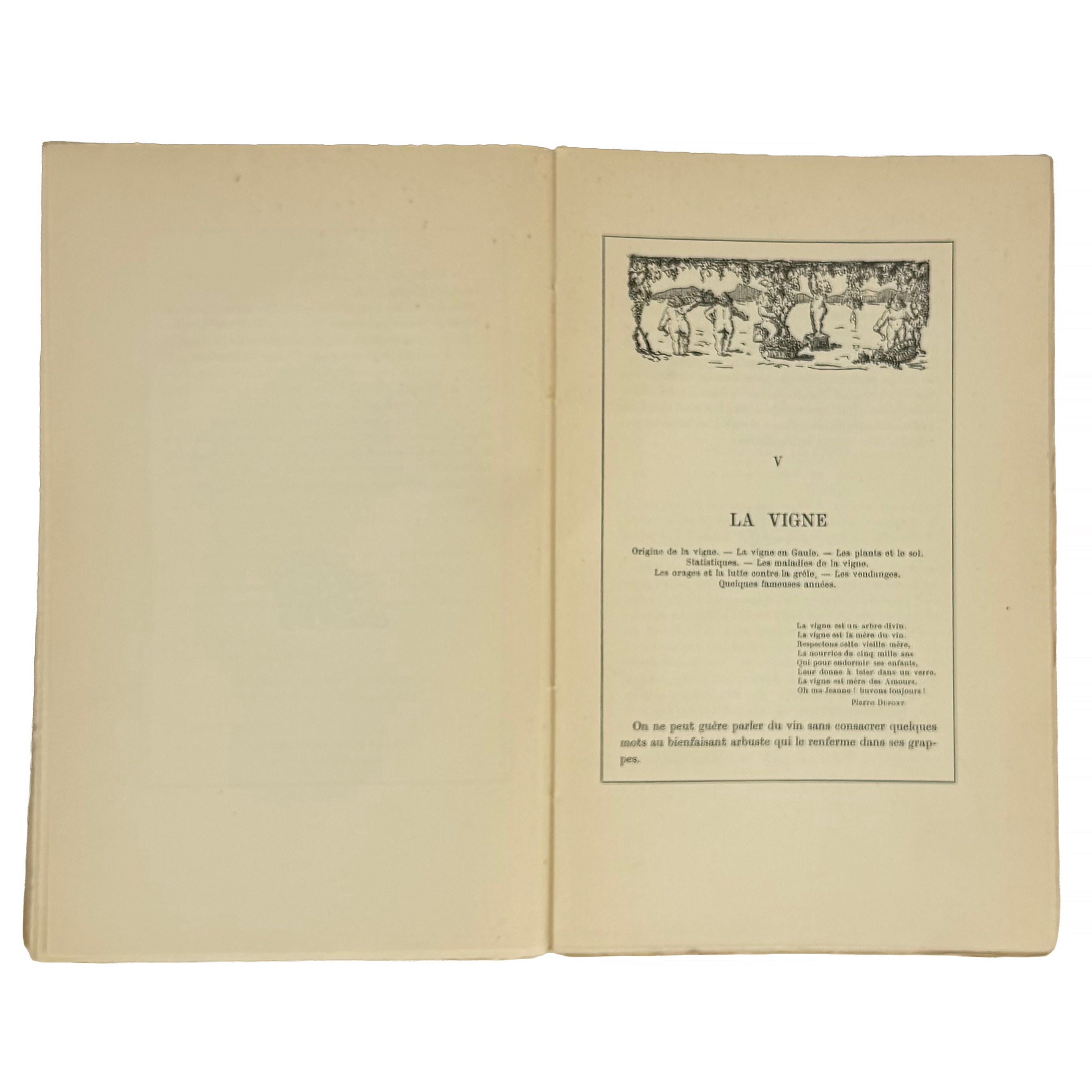Le Pays et le Vin Beaujolais by Foillard, Léon; David, Tony: a scarce illustrative detail of the 1929 wine & viticulture copy