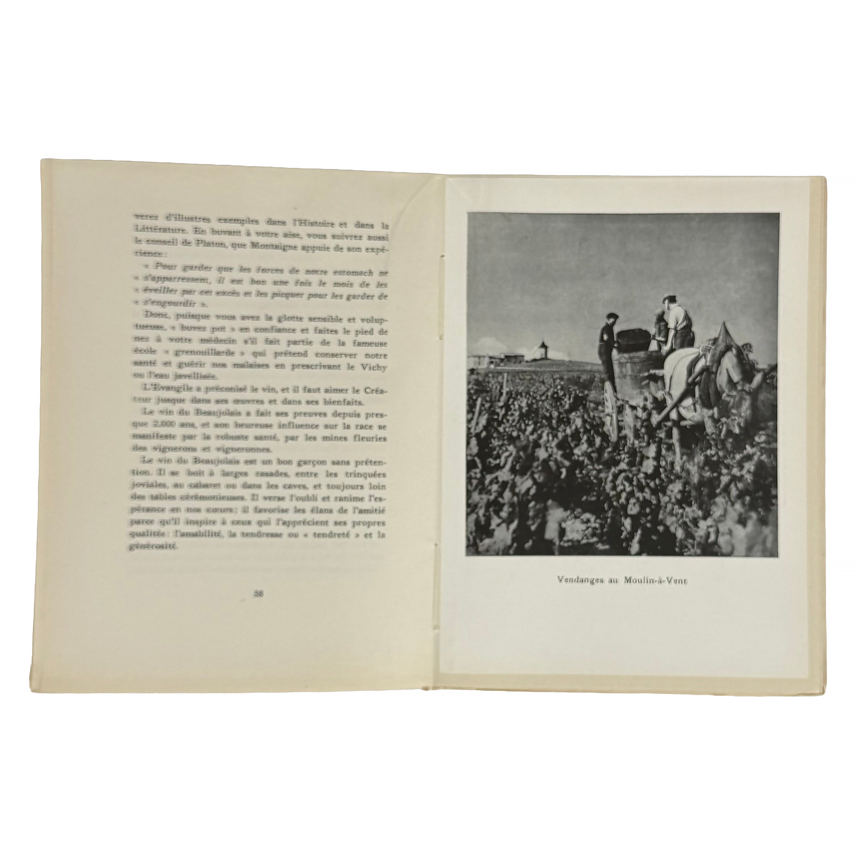 Le Vin de nos Vignes by Foillard, Léon: an exceptional example from the 1950 wine & viticulture publication