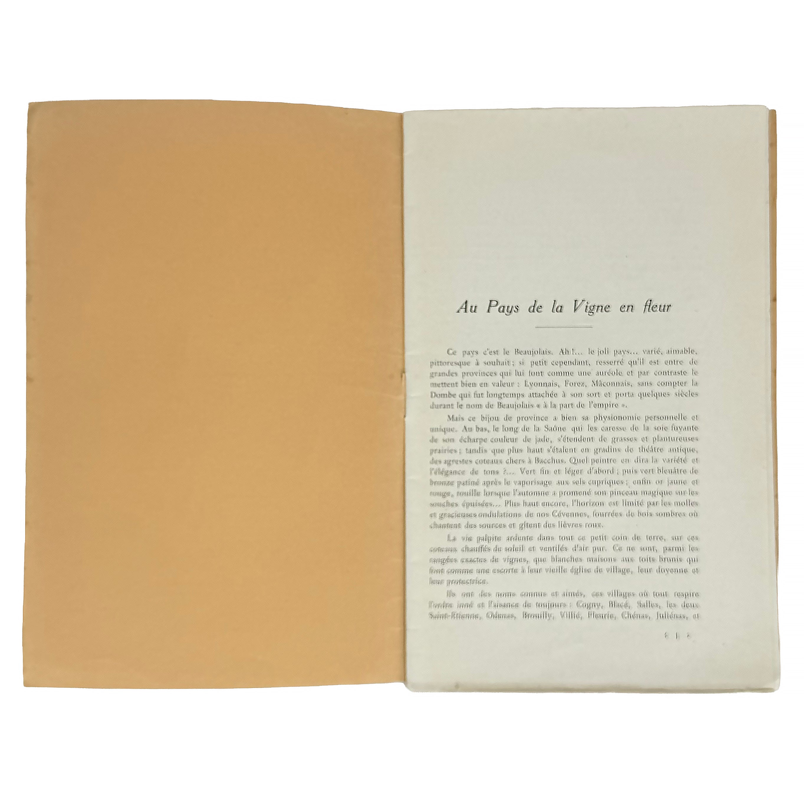 La Vigne en fleur by Bonnaud, Paul: a selected plate showing the 1928 wine & viticulture exemplar