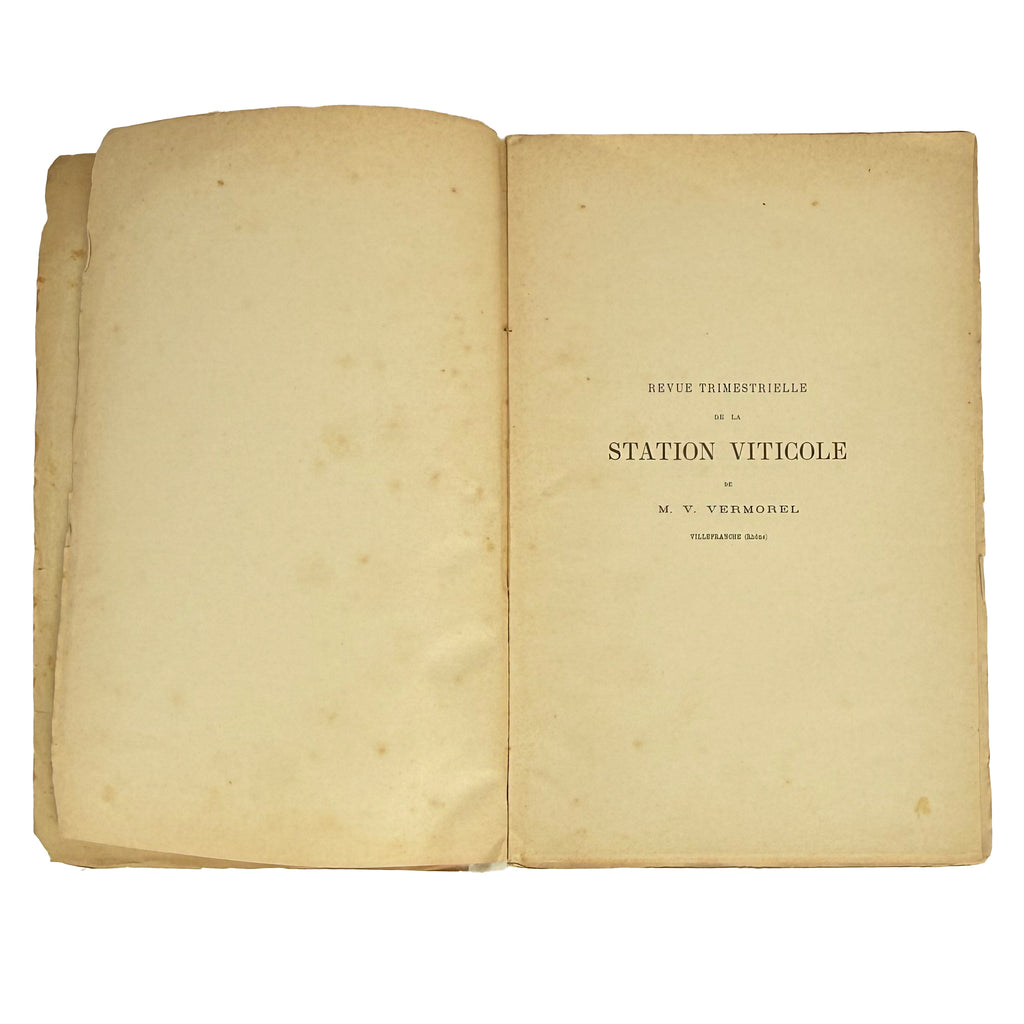 Revue trimestrielle de la Station Viticole de Villefranche (Rhône) by Vermorel, Victor: a noteworthy detail captured from the 1890 wine & viticulture publication