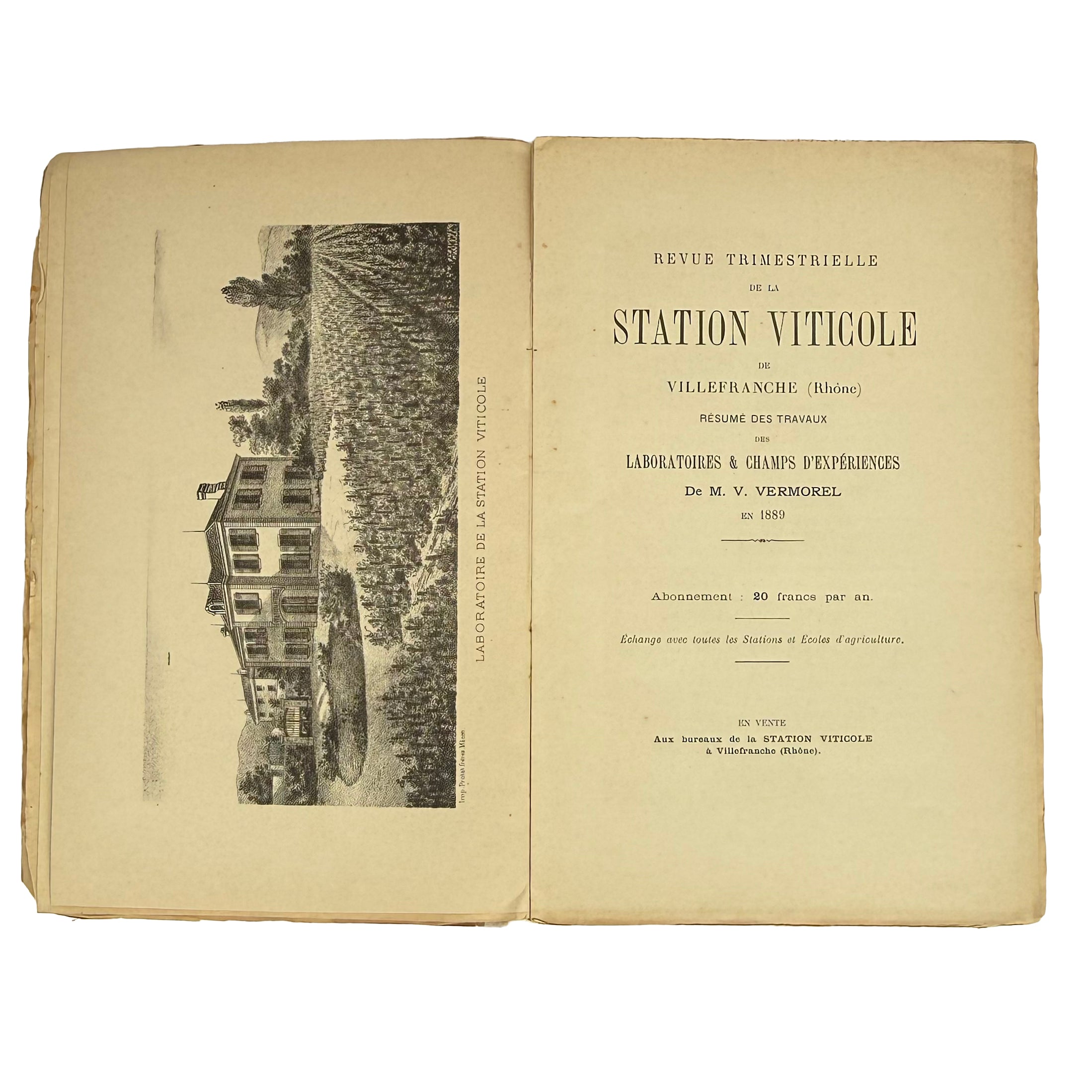 Revue trimestrielle de la Station Viticole de Villefranche (Rhône) by Vermorel, Victor: a finely chosen detail from the 1890 wine & viticulture text