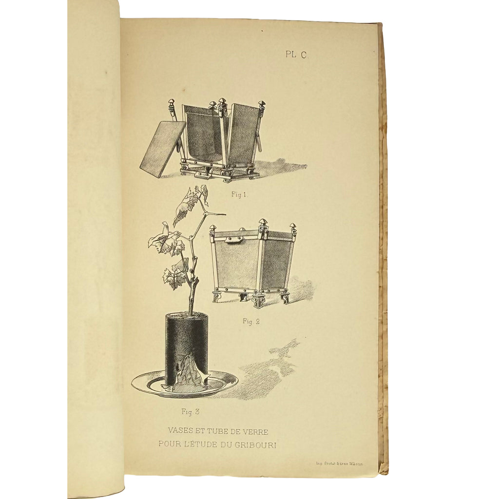 Revue trimestrielle de la Station Viticole de Villefranche (Rhône) by Vermorel, Victor: an exceptional example from the 1890 wine & viticulture volume