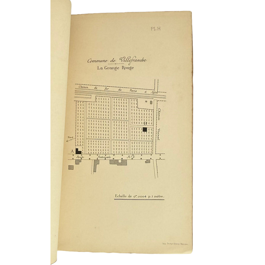 Revue trimestrielle de la Station Viticole de Villefranche (Rhône) by Vermorel, Victor: a singularly preserved detail from the 1890 wine & viticulture volume
