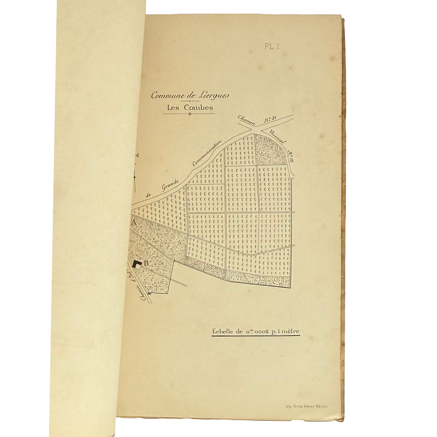 Revue trimestrielle de la Station Viticole de Villefranche (Rhône) by Vermorel, Victor: an uncommon visual fragment of the 1890 wine & viticulture printed work