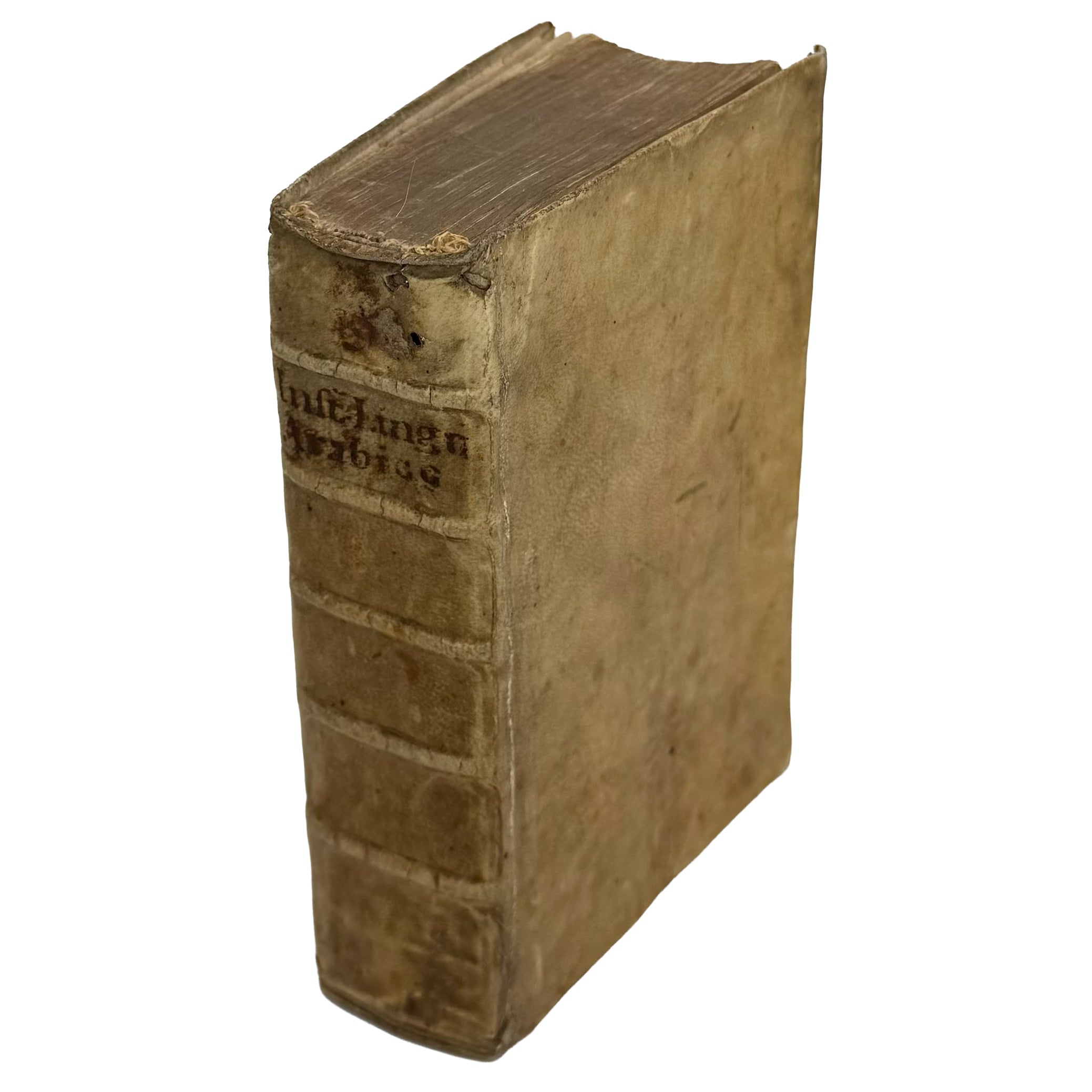 Arabicae linguae novae