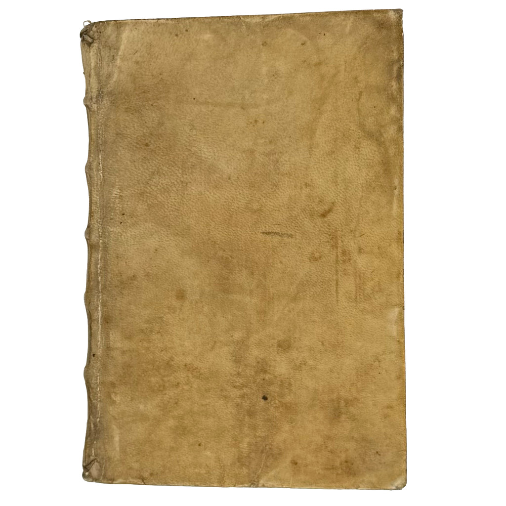 Arabicae linguae novae