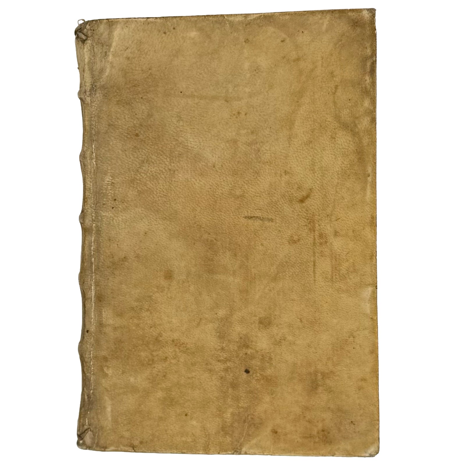 Arabicae linguae novae