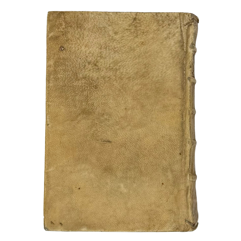 Arabicae linguae novae