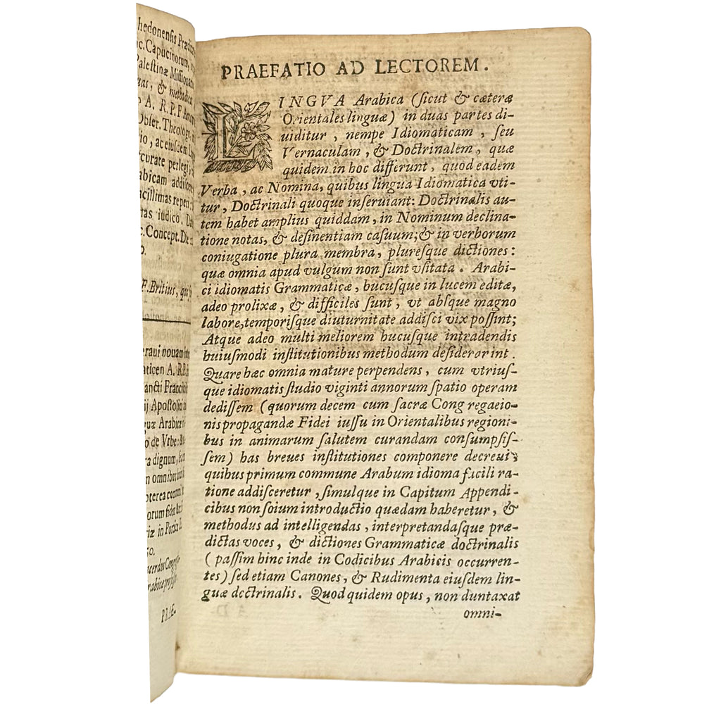 Arabicae linguae novae