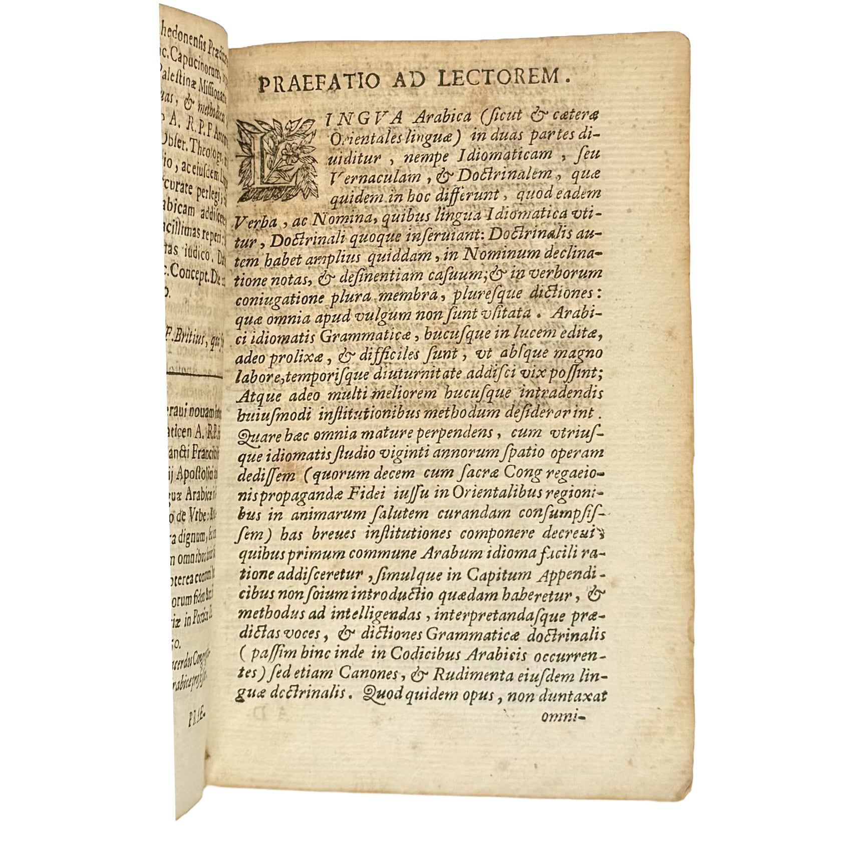 Arabicae linguae novae