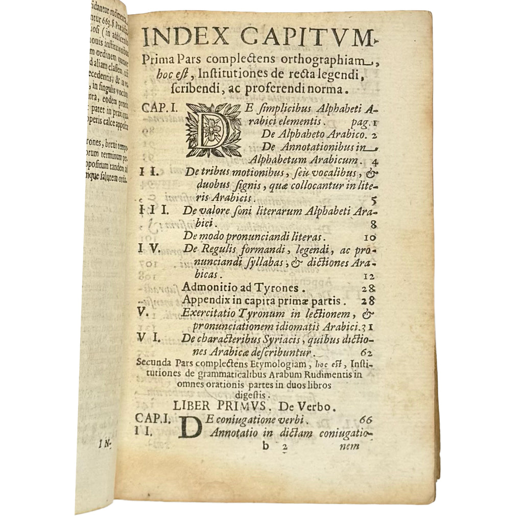 Arabicae linguae novae