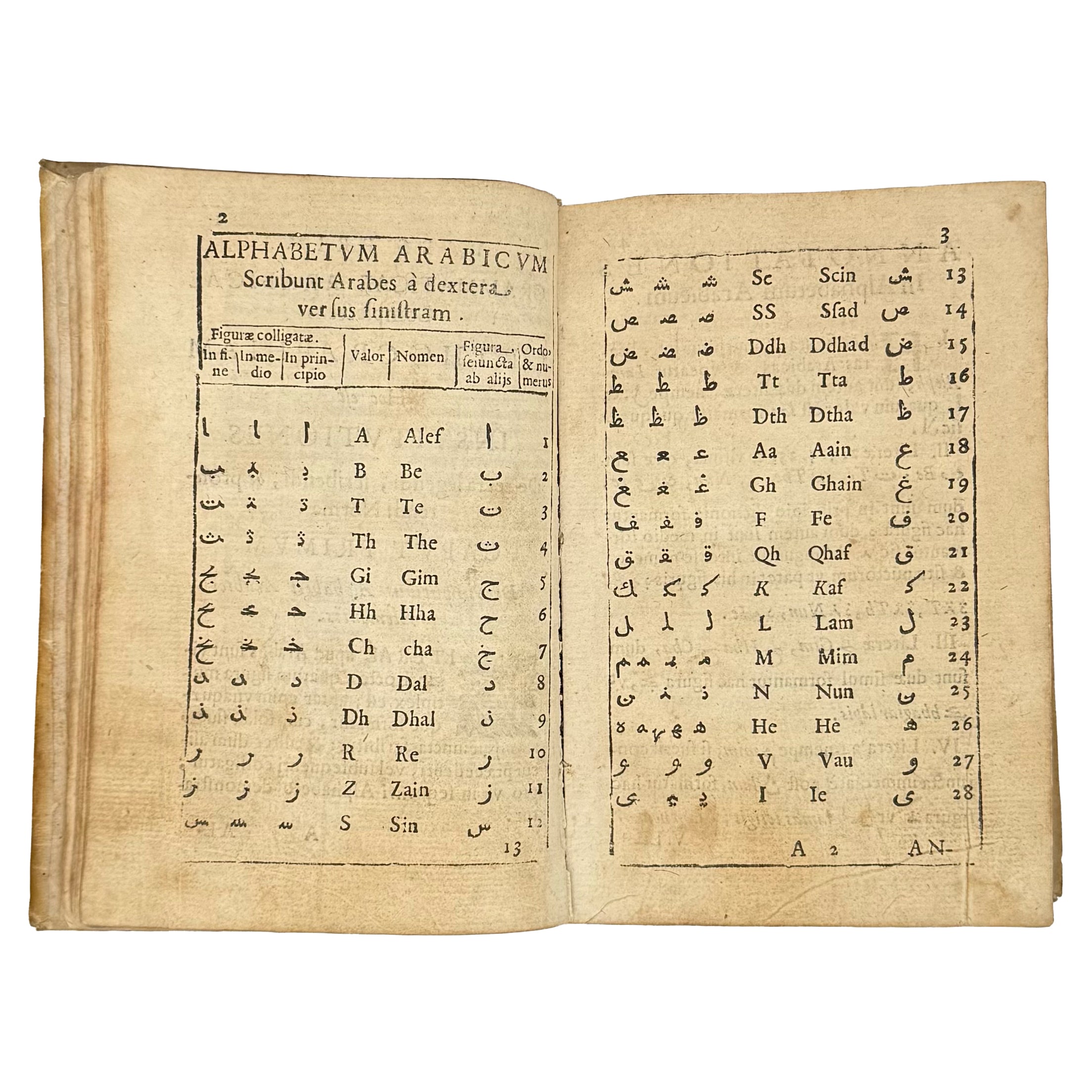 Arabicae linguae novae