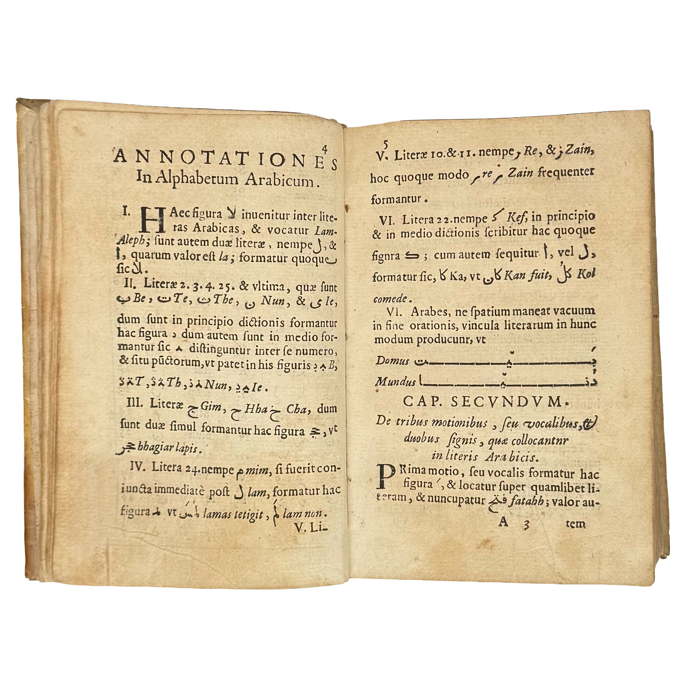 Arabicae linguae novae