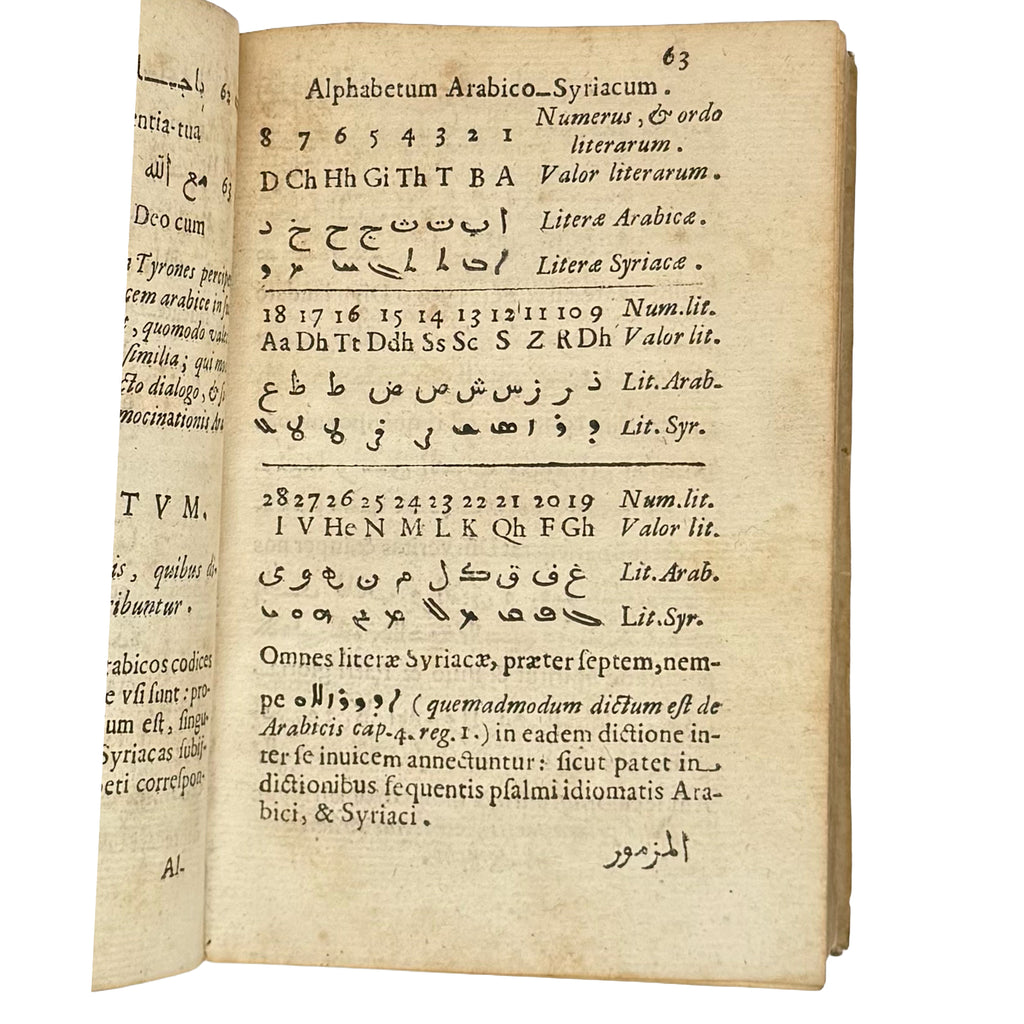 Arabicae linguae novae