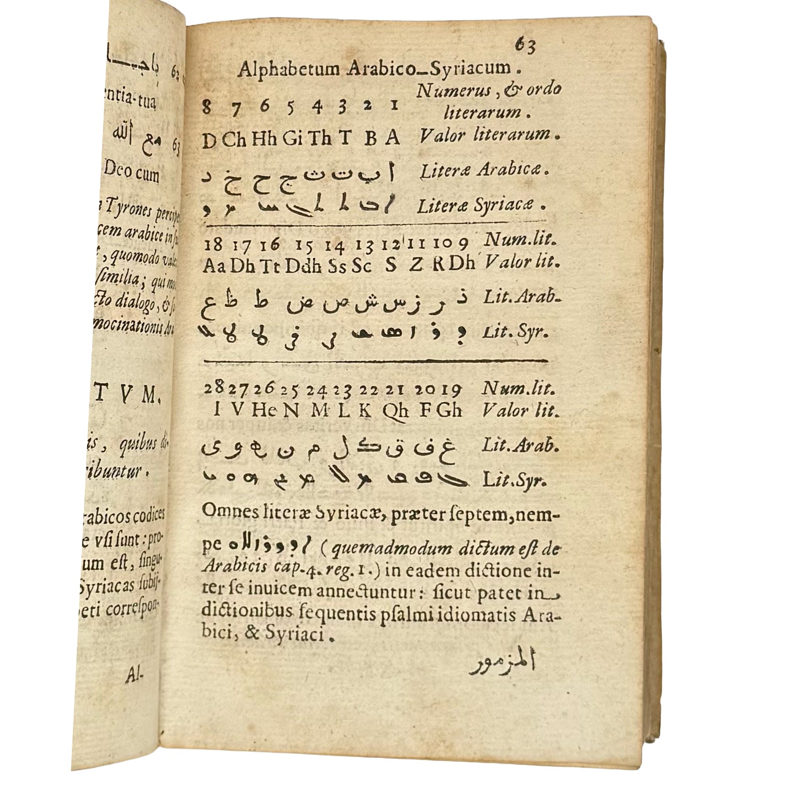 Arabicae linguae novae