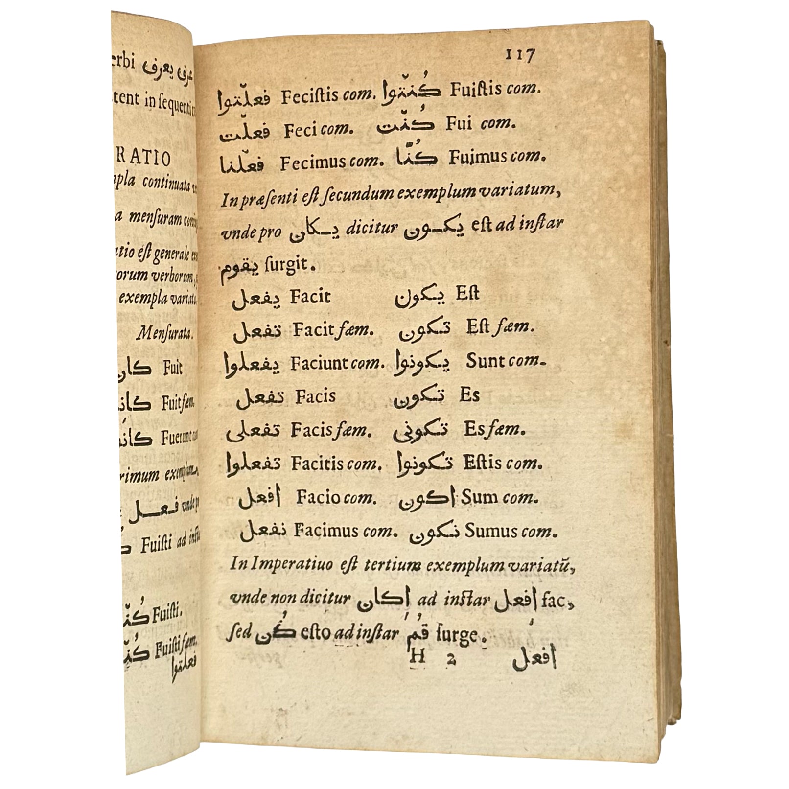 Arabicae linguae novae