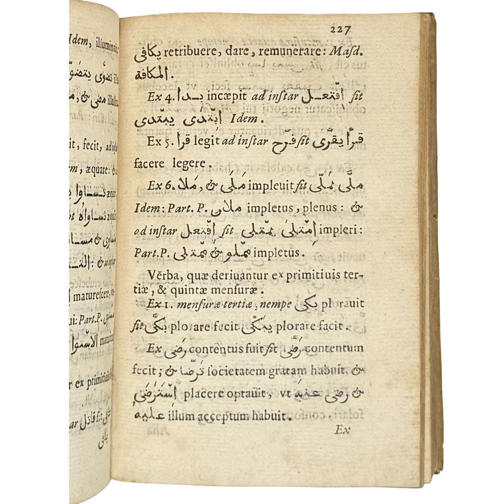 Arabicae linguae novae