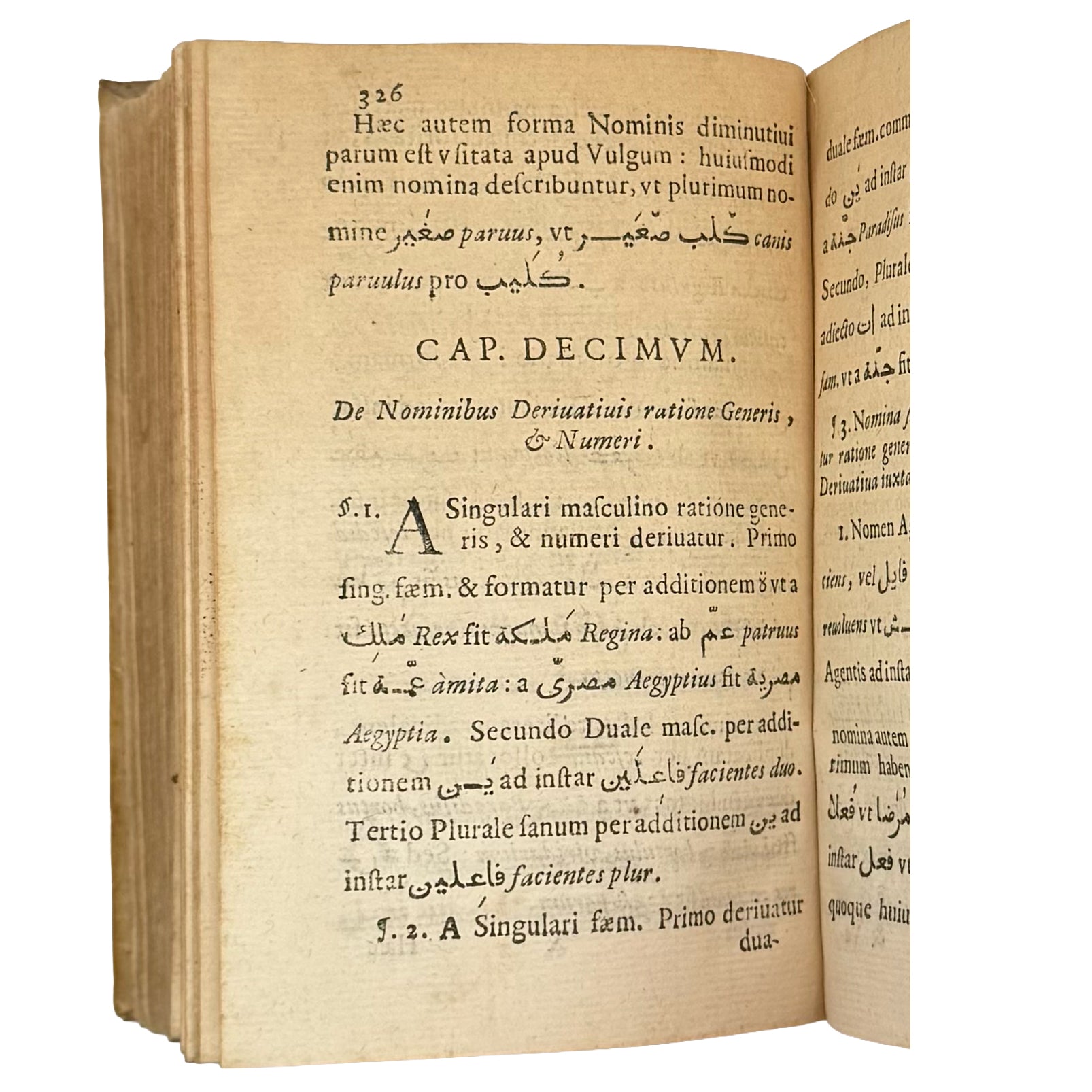 Arabicae linguae novae